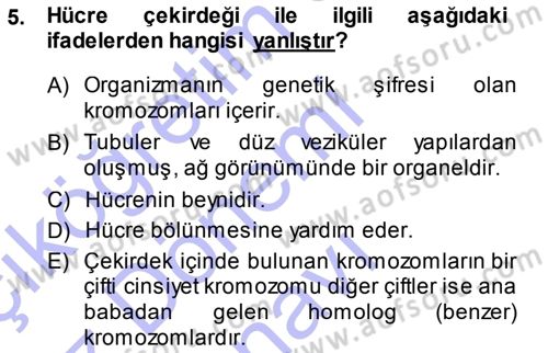 Temel Veteriner Fizyoloji Dersi 2013 - 2014 Yılı (Final) Dönem Sonu Sınav Soruları 5. Soru