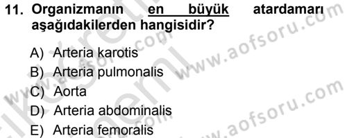 Temel Veteriner Fizyoloji Dersi 2013 - 2014 Yılı Tek Ders Sınavı 11. Soru