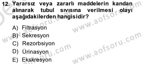 Temel Veteriner Fizyoloji Dersi 2013 - 2014 Yılı Tek Ders Sınavı 12. Soru