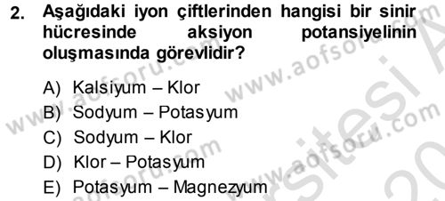 Temel Veteriner Fizyoloji Dersi 2013 - 2014 Yılı Tek Ders Sınav Soruları 2. Soru
