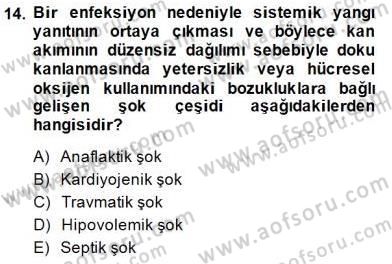 Temel Veteriner Fizyoloji Dersi 2014 - 2015 Yılı (Vize) Ara Sınav Soruları 14. Soru