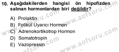 Temel Veteriner Fizyoloji Dersi 2014 - 2015 Yılı (Final) Dönem Sonu Sınav Soruları 10. Soru