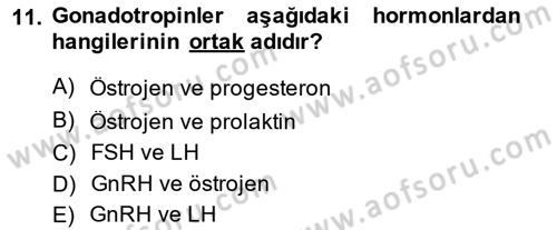 Temel Veteriner Fizyoloji Dersi 2014 - 2015 Yılı (Final) Dönem Sonu Sınav Soruları 11. Soru