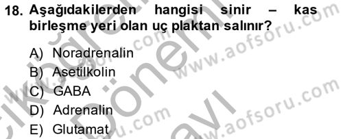 Temel Veteriner Fizyoloji Dersi 2014 - 2015 Yılı (Final) Dönem Sonu Sınav Soruları 18. Soru