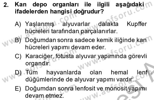 Temel Veteriner Fizyoloji Dersi 2014 - 2015 Yılı (Final) Dönem Sonu Sınav Soruları 2. Soru