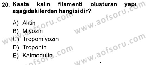 Temel Veteriner Fizyoloji Dersi 2014 - 2015 Yılı (Final) Dönem Sonu Sınav Soruları 20. Soru