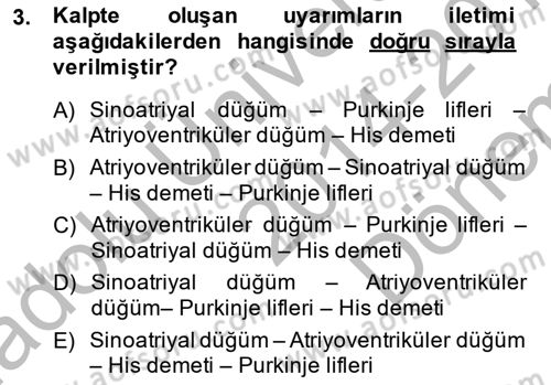 Temel Veteriner Fizyoloji Dersi 2014 - 2015 Yılı (Final) Dönem Sonu Sınav Soruları 3. Soru