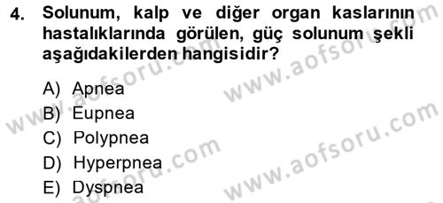 Temel Veteriner Fizyoloji Dersi 2014 - 2015 Yılı (Final) Dönem Sonu Sınavı 4. Soru