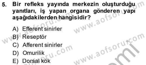 Temel Veteriner Fizyoloji Dersi 2014 - 2015 Yılı (Final) Dönem Sonu Sınav Soruları 5. Soru