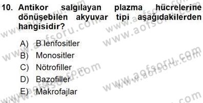Temel Veteriner Fizyoloji Dersi 2015 - 2016 Yılı (Vize) Ara Sınav Soruları 10. Soru