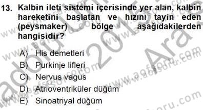 Temel Veteriner Fizyoloji Dersi 2015 - 2016 Yılı (Vize) Ara Sınav Soruları 13. Soru