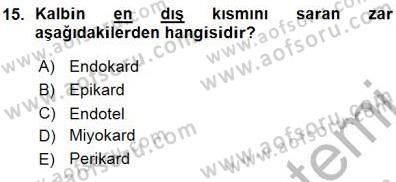 Temel Veteriner Fizyoloji Dersi 2015 - 2016 Yılı (Vize) Ara Sınav Soruları 15. Soru