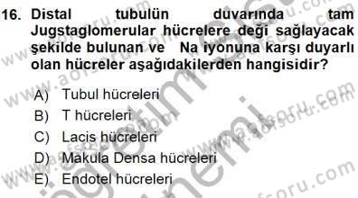 Temel Veteriner Fizyoloji Dersi 2015 - 2016 Yılı (Vize) Ara Sınav Soruları 16. Soru
