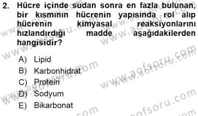 Temel Veteriner Fizyoloji Dersi 2015 - 2016 Yılı (Vize) Ara Sınav Soruları 2. Soru