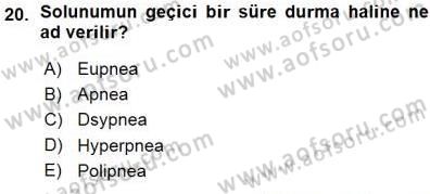 Temel Veteriner Fizyoloji Dersi 2015 - 2016 Yılı (Vize) Ara Sınavı 20. Soru