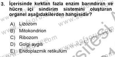Temel Veteriner Fizyoloji Dersi 2015 - 2016 Yılı (Vize) Ara Sınav Soruları 3. Soru