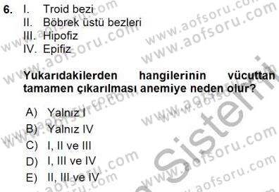 Temel Veteriner Fizyoloji Dersi 2015 - 2016 Yılı (Vize) Ara Sınav Soruları 6. Soru