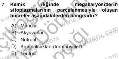 Temel Veteriner Fizyoloji Dersi 2015 - 2016 Yılı (Vize) Ara Sınav Soruları 7. Soru