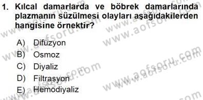 Temel Veteriner Fizyoloji Dersi 2015 - 2016 Yılı (Final) Dönem Sonu Sınav Soruları 1. Soru