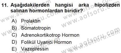 Temel Veteriner Fizyoloji Dersi 2015 - 2016 Yılı (Final) Dönem Sonu Sınav Soruları 11. Soru