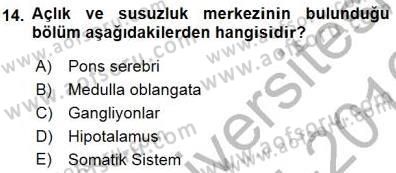 Temel Veteriner Fizyoloji Dersi 2015 - 2016 Yılı (Final) Dönem Sonu Sınav Soruları 14. Soru