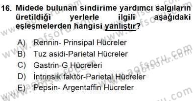 Temel Veteriner Fizyoloji Dersi 2015 - 2016 Yılı (Final) Dönem Sonu Sınav Soruları 16. Soru