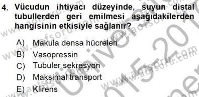 Temel Veteriner Fizyoloji Dersi 2015 - 2016 Yılı (Final) Dönem Sonu Sınav Soruları 4. Soru
