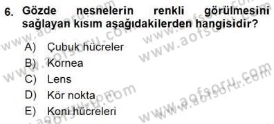 Temel Veteriner Fizyoloji Dersi 2015 - 2016 Yılı (Final) Dönem Sonu Sınav Soruları 6. Soru