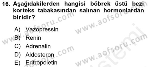 Temel Veteriner Fizyoloji Dersi 2015 - 2016 Yılı Tek Ders Sınavı 16. Soru