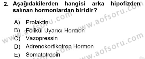 Temel Veteriner Fizyoloji Dersi 2015 - 2016 Yılı Tek Ders Sınav Soruları 2. Soru