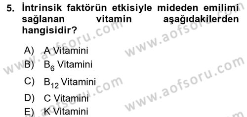 Temel Veteriner Fizyoloji Dersi 2015 - 2016 Yılı Tek Ders Sınavı 5. Soru