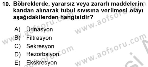 Temel Veteriner Fizyoloji Dersi 2016 - 2017 Yılı 3 Ders Sınav Soruları 10. Soru