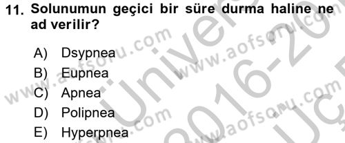 Temel Veteriner Fizyoloji Dersi 2016 - 2017 Yılı 3 Ders Sınav Soruları 11. Soru