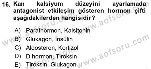 Temel Veteriner Fizyoloji Dersi 2016 - 2017 Yılı 3 Ders Sınavı 16. Soru