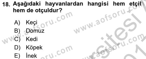 Temel Veteriner Fizyoloji Dersi 2016 - 2017 Yılı 3 Ders Sınav Soruları 18. Soru