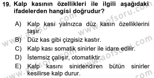 Temel Veteriner Fizyoloji Dersi 2016 - 2017 Yılı 3 Ders Sınav Soruları 19. Soru