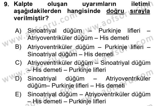 Temel Veteriner Fizyoloji Dersi 2016 - 2017 Yılı 3 Ders Sınav Soruları 9. Soru