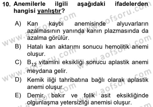 Temel Veteriner Fizyoloji Dersi 2016 - 2017 Yılı (Vize) Ara Sınav Soruları 10. Soru