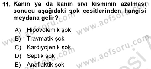 Temel Veteriner Fizyoloji Dersi 2016 - 2017 Yılı (Vize) Ara Sınav Soruları 11. Soru