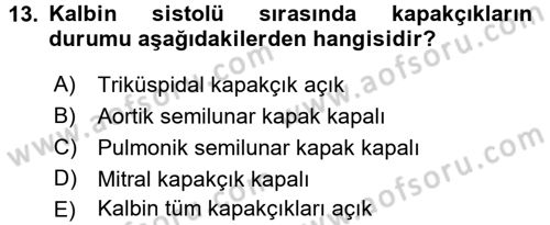 Temel Veteriner Fizyoloji Dersi 2016 - 2017 Yılı (Vize) Ara Sınav Soruları 13. Soru