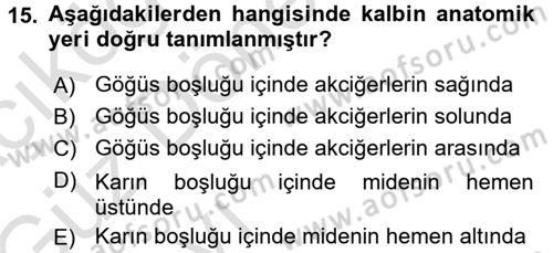 Temel Veteriner Fizyoloji Dersi 2016 - 2017 Yılı (Vize) Ara Sınav Soruları 15. Soru