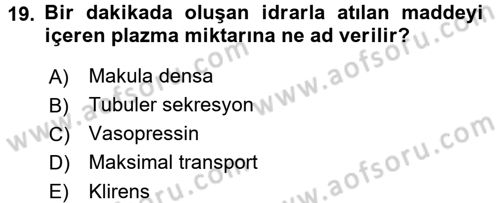 Temel Veteriner Fizyoloji Dersi 2016 - 2017 Yılı (Vize) Ara Sınav Soruları 19. Soru