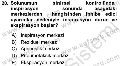 Temel Veteriner Fizyoloji Dersi 2016 - 2017 Yılı (Vize) Ara Sınav Soruları 20. Soru