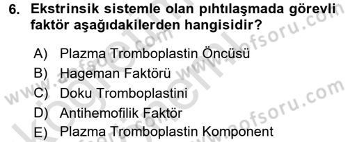 Temel Veteriner Fizyoloji Dersi 2016 - 2017 Yılı (Vize) Ara Sınav Soruları 6. Soru