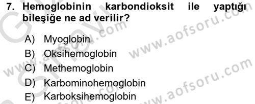 Temel Veteriner Fizyoloji Dersi 2016 - 2017 Yılı (Vize) Ara Sınav Soruları 7. Soru