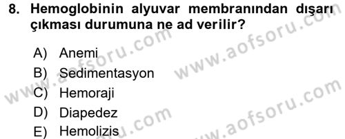 Temel Veteriner Fizyoloji Dersi 2016 - 2017 Yılı (Vize) Ara Sınav Soruları 8. Soru