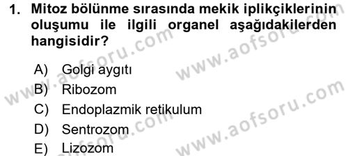 Temel Veteriner Fizyoloji Dersi 2016 - 2017 Yılı (Final) Dönem Sonu Sınavı 1. Soru