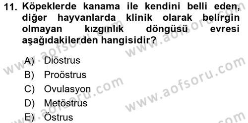 Temel Veteriner Fizyoloji Dersi 2016 - 2017 Yılı (Final) Dönem Sonu Sınav Soruları 11. Soru