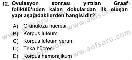 Temel Veteriner Fizyoloji Dersi 2016 - 2017 Yılı (Final) Dönem Sonu Sınav Soruları 12. Soru