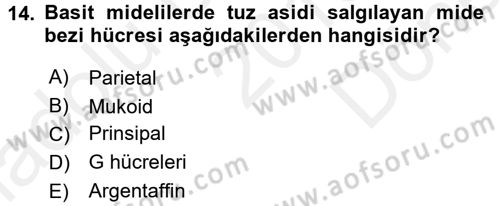 Temel Veteriner Fizyoloji Dersi 2016 - 2017 Yılı (Final) Dönem Sonu Sınav Soruları 14. Soru